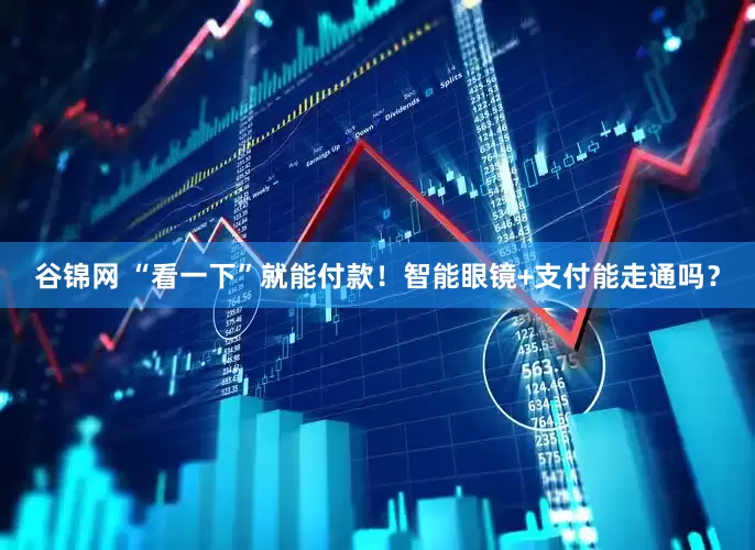 谷锦网 “看一下”就能付款！智能眼镜+支付能走通吗？