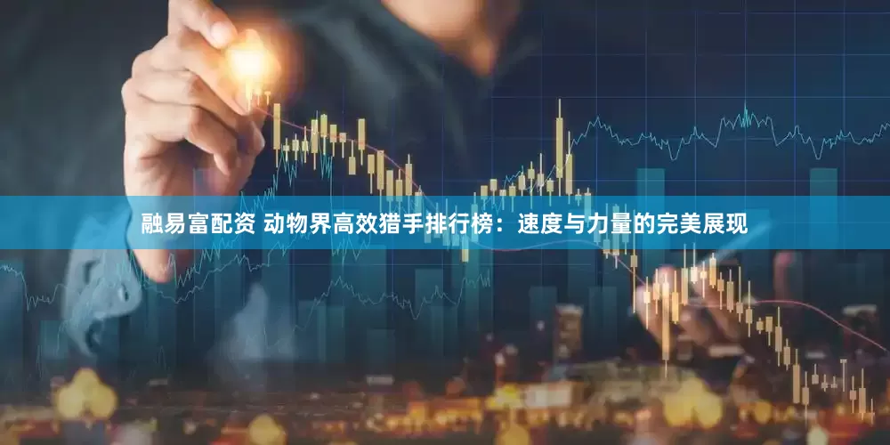 融易富配资 动物界高效猎手排行榜：速度与力量的完美展现