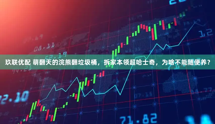 玖联优配 萌翻天的浣熊翻垃圾桶，拆家本领超哈士奇，为啥不能随便养？