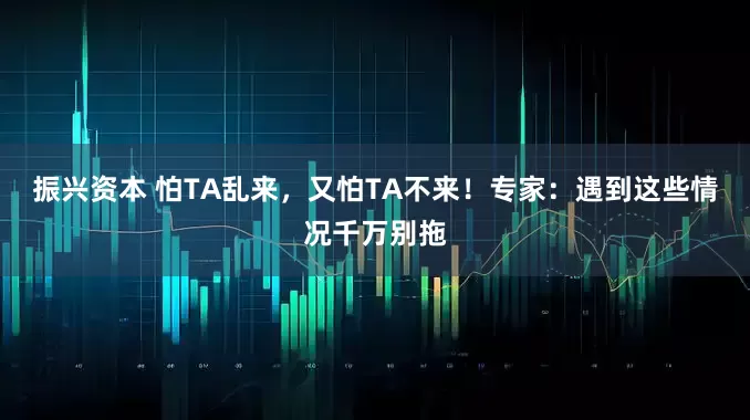 振兴资本 怕TA乱来，又怕TA不来！专家：遇到这些情况千万别拖