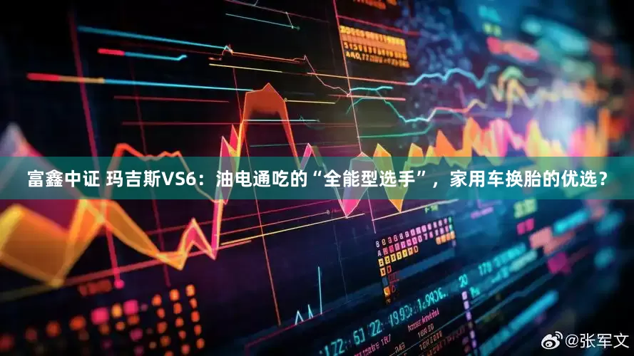 富鑫中证 玛吉斯VS6：油电通吃的“全能型选手”，家用车换胎的优选？
